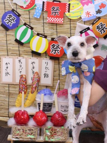 20240706クランちゃん